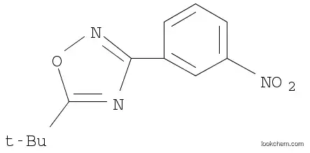 Molecular Structure of 1004398-30-4 (5-tert-Butyl-3-(3-nitrophenyl)-1,2,4-oxadiazole)
